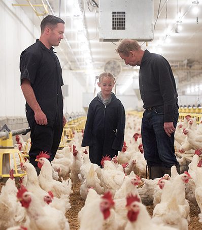 Daughter, father and grandfather stand in a chicken barn