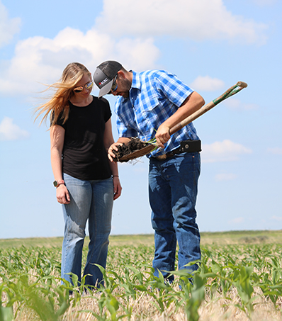 A Young farm couple, Brett & Chantel McRae, stand in a field of corn