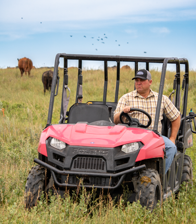 Photo of a man riding a quad in a pasture with out of focus cattle in the background. He is wearing a black baseball cap, short sleeve light coloured plaid shirt and blue jeans.