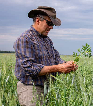 A man wearing kahki pants, a plaid shirt, a brimmed hat and sunglasses stands in a pasture holding a plant he removed from the ground.